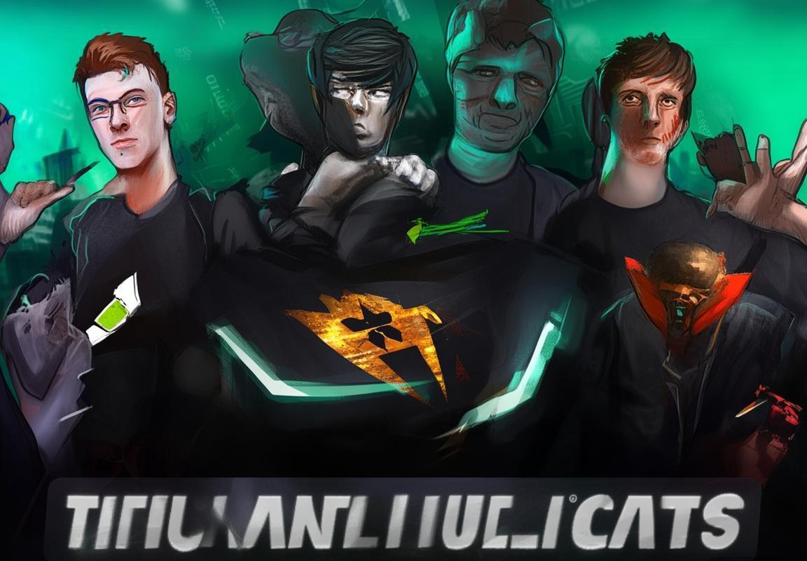 土耳其前冠军战队Istanbul Wildcats解散